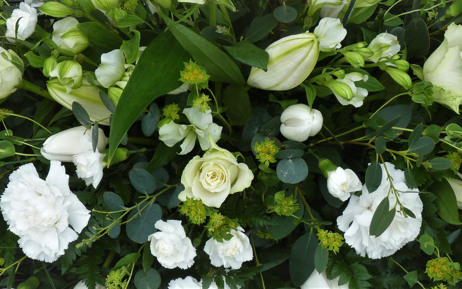 Bouquet of white flowers.
